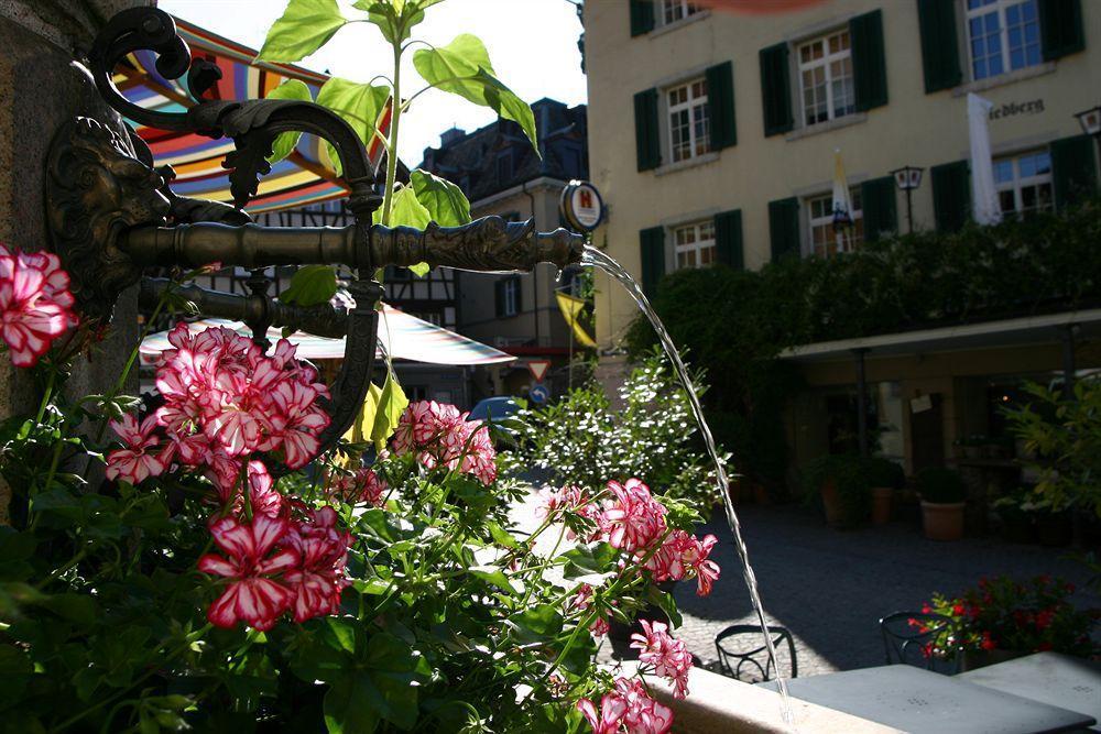 Romantik Hotel Schwan Horgen Exterior foto